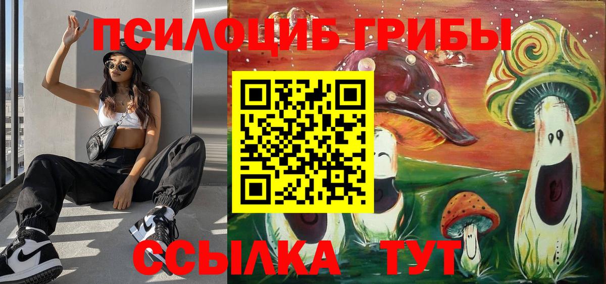Псилоцибиновые грибы прущие грибы  Псилоцибиновые грибы Psilocybine cubensis  Вход с VPN  Ярцево 