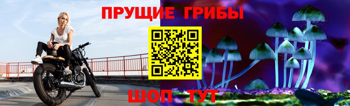 Псилоцибиновые грибы мицелий Ярцево